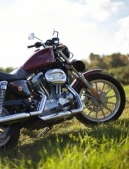 Wynajem Harley Davidson Sportster 