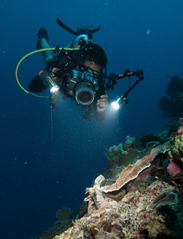 Kurs fotografii podwodnej