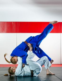Indywidualny  trening brazylijskie jiu jitsu – Nowy Sącz