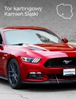 Jazda za kierownicą Forda Mustanga – Tor kartingowy Kamień Śląski
 Liczba okrążeń-1 okrążenie