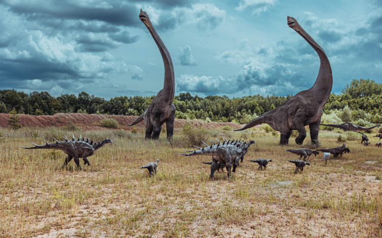 dinozaury krasiejów