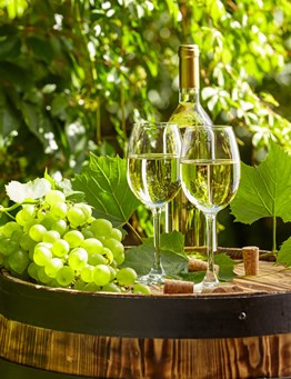 Zwiedzanie winnicy wraz z degustacją win dla dwojga – Janów Lubelski