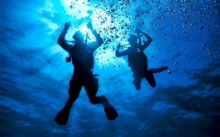 Dwie osoby w odpowiednim sprzęcie i stroju do nurkowania w ciemnoniebieskiej wodzie.