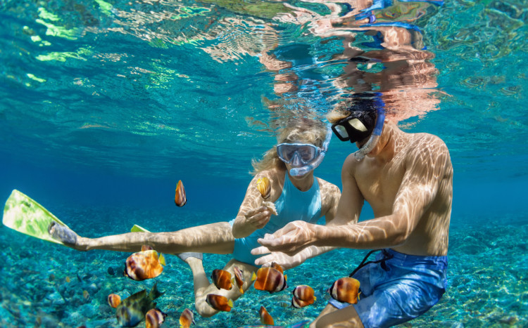 Para osób w maskach i płetwach do nurkowania obserwują kolorowe rybki na dnie wody.