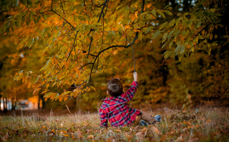 Dziecko bawi się jesiennymi liśćmi