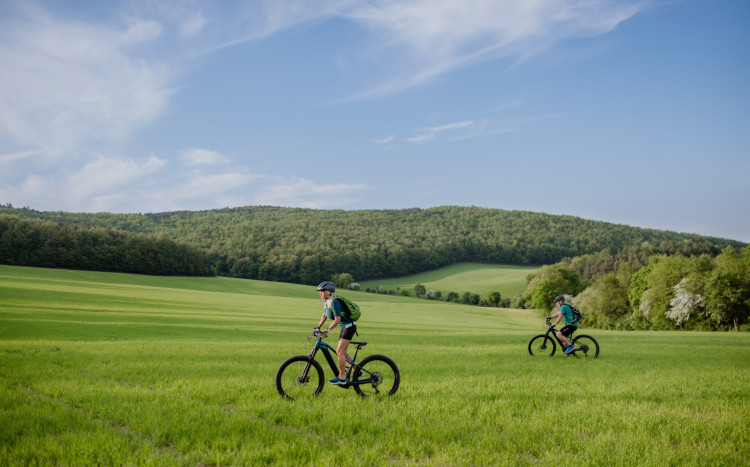 Para jedzie rowerem po zielonej łące