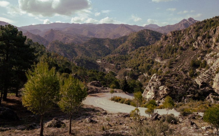 Widok na drogę i góry z roślinami w Andaluzji