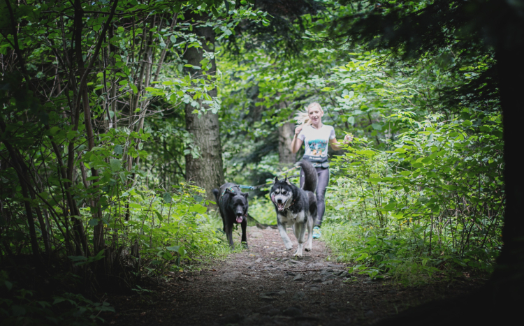 Biegnąca kobieta z dwoma psami na smyczy przez zielony las