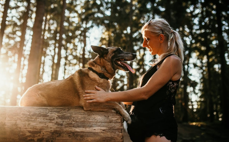 Szczęśliwa kobieta i pies podczas leśnego spaceru