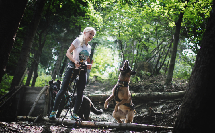 Kobieta i pies na spacerze w zielonym lesie