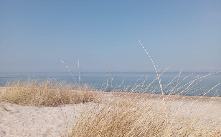 Piaszczysta wydma nad morzem, na której rośnie sucha trawa