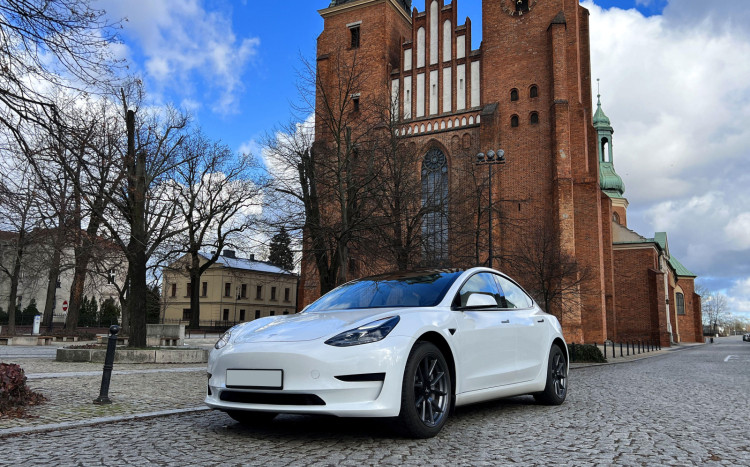 biała Tesla