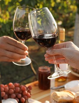 Degustacja wina dla dwojga Winnica Carolus  – Mielec