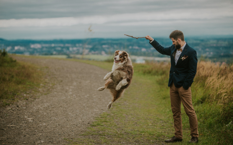 Pies skaczący w powietrzu po patyk, który trzyma jego właściciel