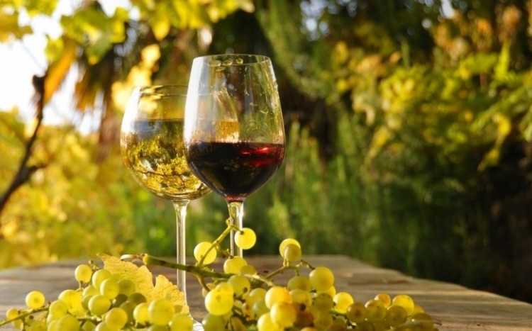 Dwa kieliszki wina i winogrono