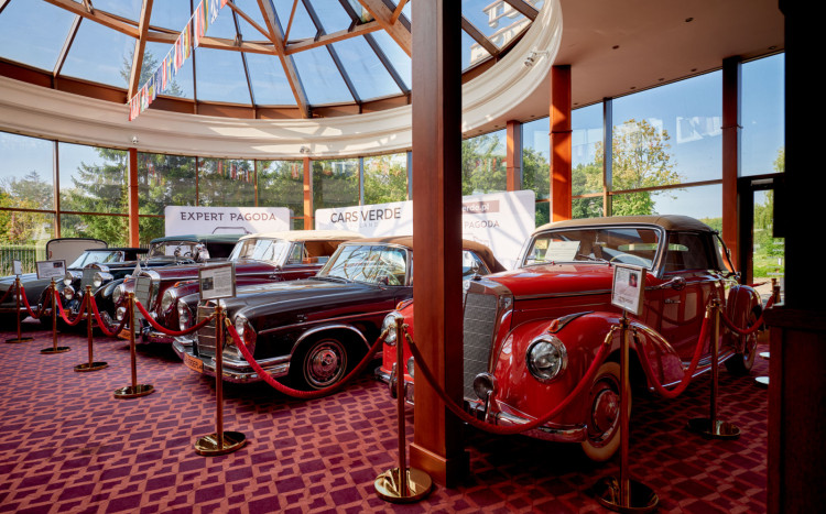 Stare i zjawiskowe samochody znajdujące się w Muzeum Aut Zabytkowych