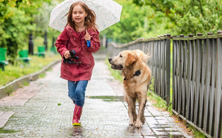 dziewczynka z psem na spacerze