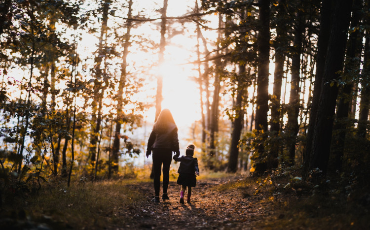 Mama i córka idące przez las za rękę przy zachodzie słońca