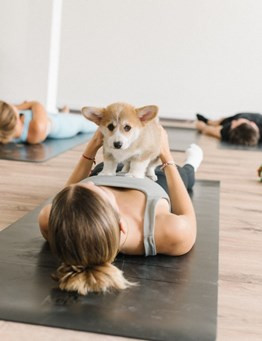 Puppy Yoga — joga ze szczeniaczkami — Łódź