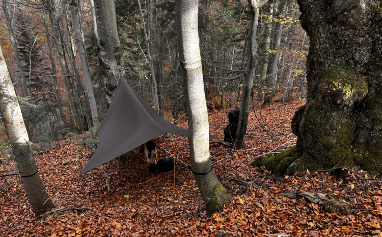 Płachta imitująca namiot rozwieszona na drzewach w lesie
