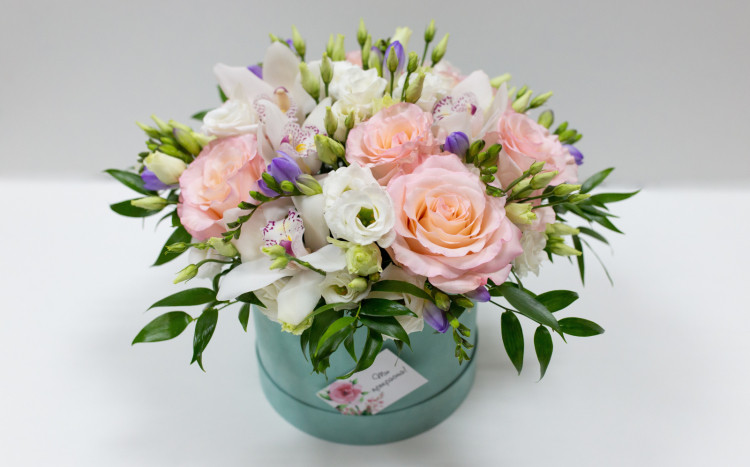 zielono-fioletowy flower box