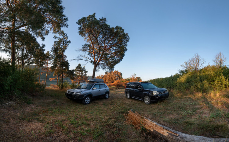 dwa auta terenowe w lesie