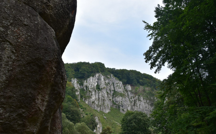 jura krakowsko-częstochowska