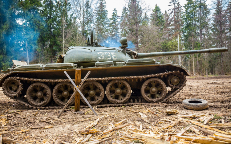 czołg t-55 w lesie