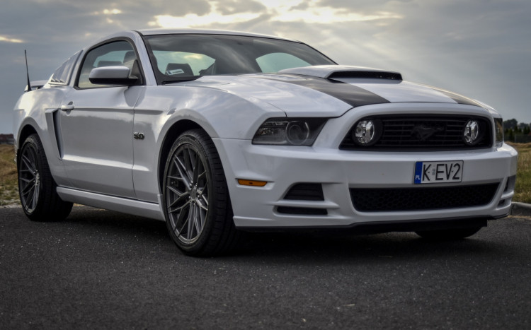 sportowy mustang