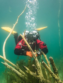 Kurs podwodnego poszukiwania i wydobywania – Warszawa