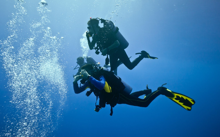 nurkowanie w wodach otwartych