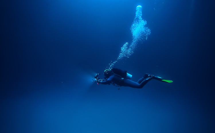 nurek robi zdjęcia podczas nurkowania