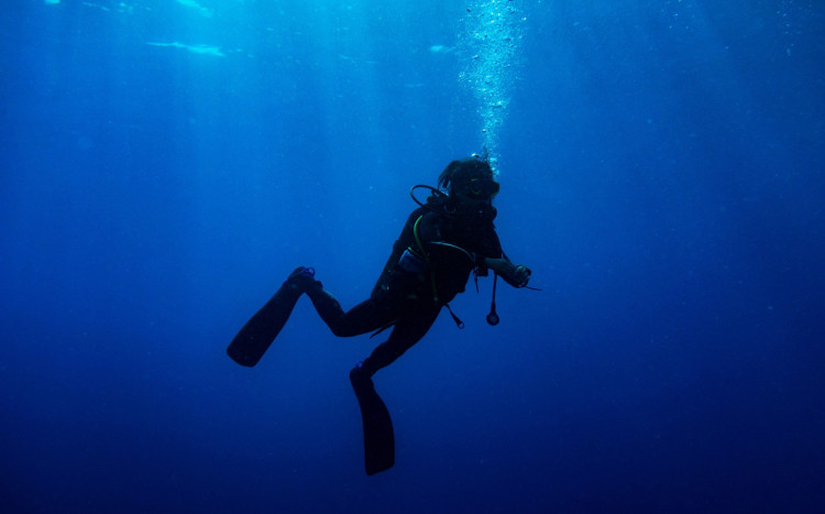 nurek pływa pod wodą w płetwach