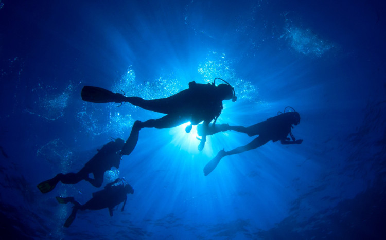 czterech nurków pływa pod wodą