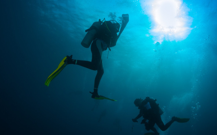 nurkowie podczas pływanie na otwartej wodzie