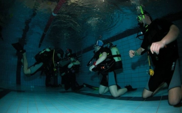 Grupa nurków leżąca na dnie basenu