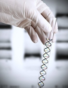 Badania DNA