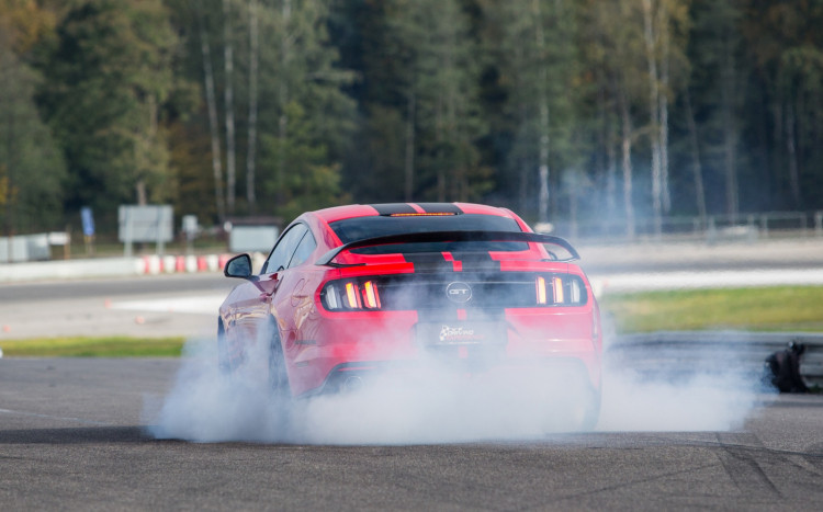 mustang na torze