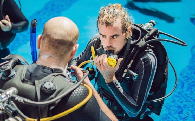 zajęcia nurkowania