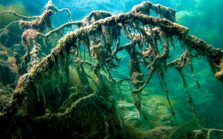 zatopione przedmioty