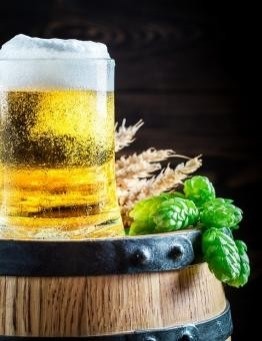Kurs degustacji piwa – Kraków