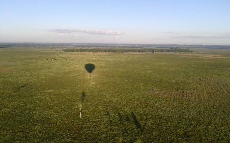 Cień balona na trawie