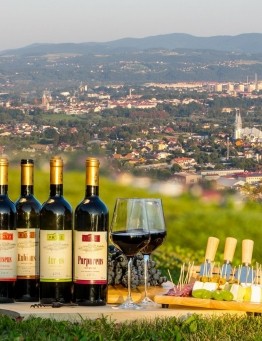 Degustacja win ze zwiedzaniem winnicy dla dwojga – Chełmiec
