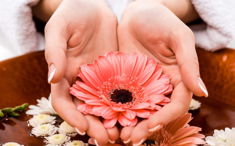 kwiat na zadbanych kobiecych dłoniach
