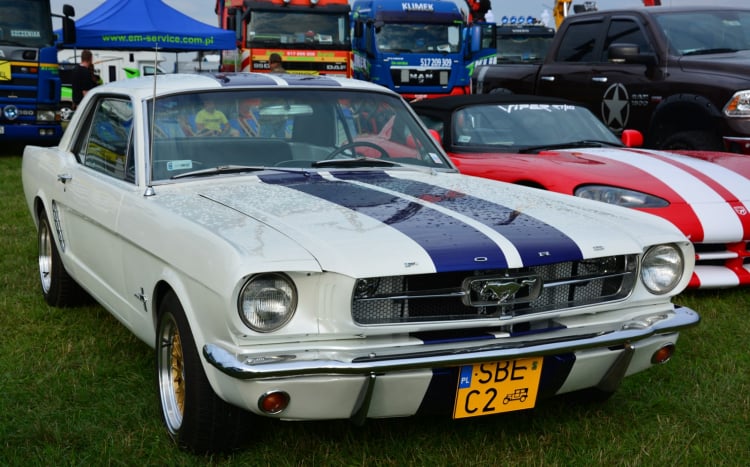 stary ford mustang