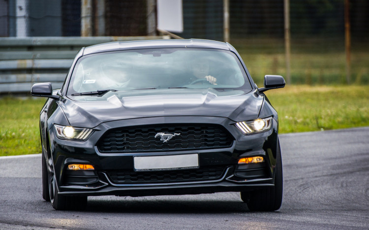 Jazda za kierownicą Forda Mustanga – Tor kartingowy Kamień Śląski