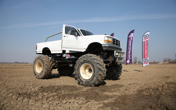 biały ford monster truck widok bokiem