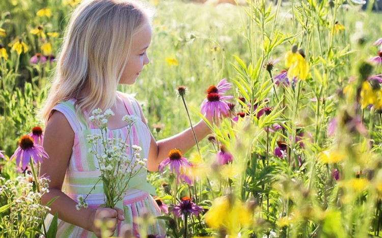 Dziewczyna na łące wśród kwiatów.