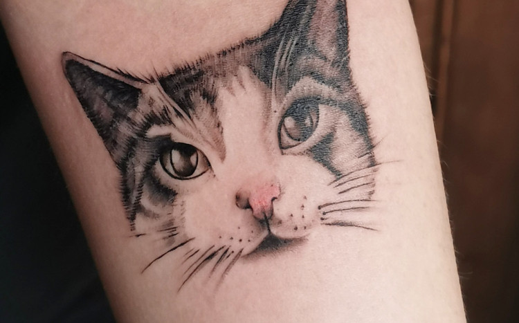 tatuaż z podobizną kota