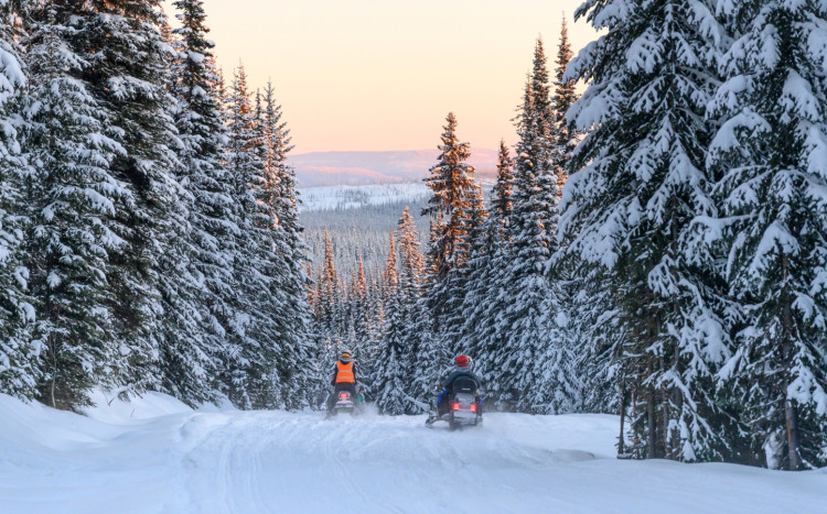 grupa osób na skuterach śnieżnych w lesie